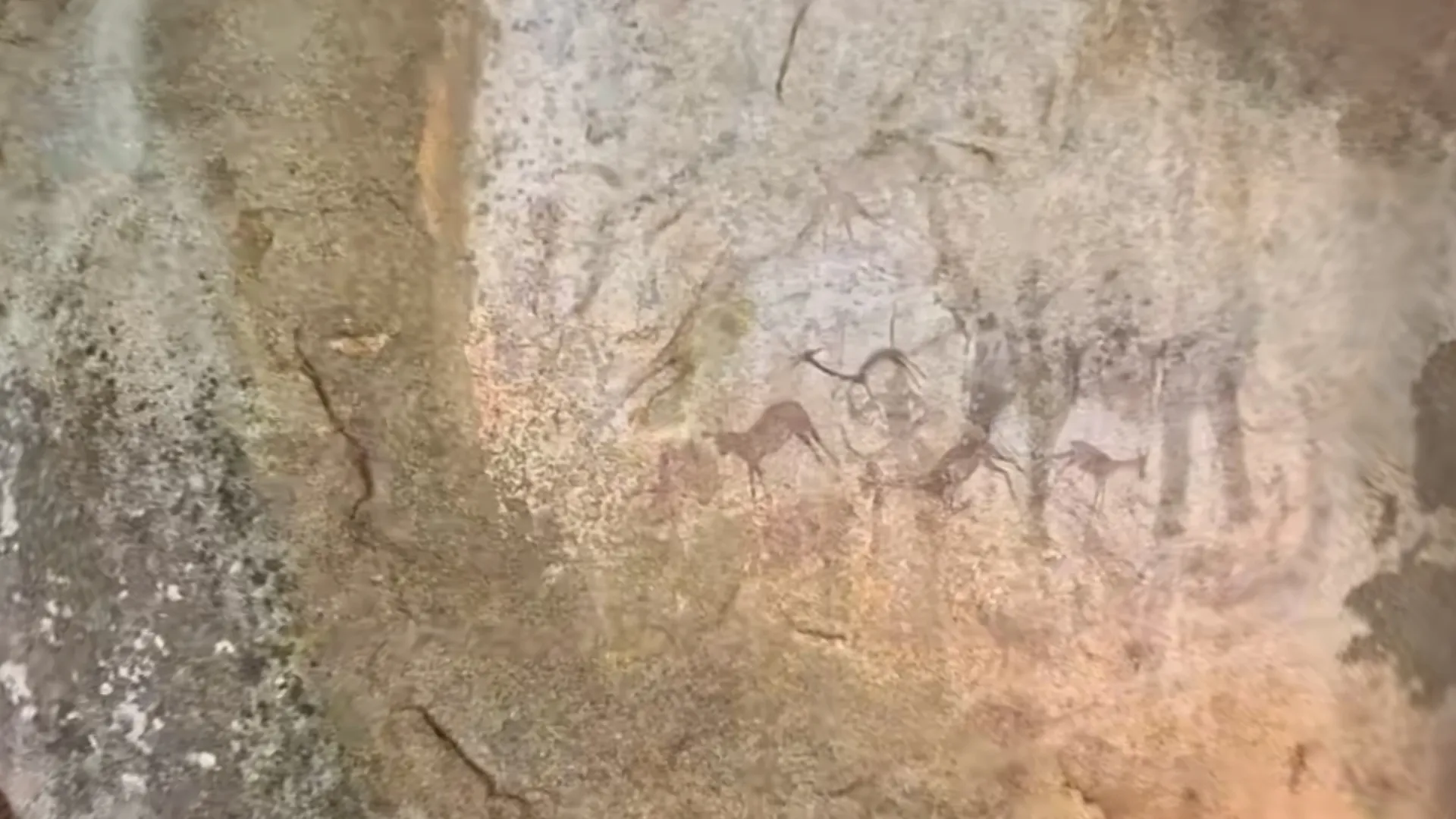 Ancient rock paintings of antelope on a cave wall at paMusha